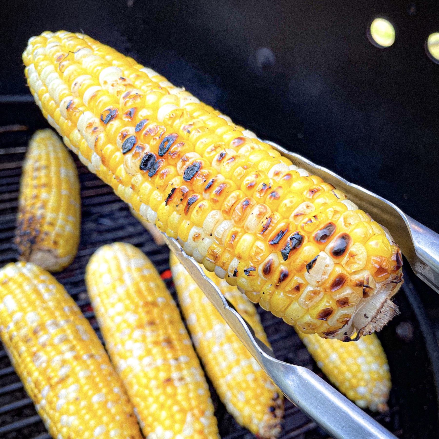 Grilled Ontario sweet corn