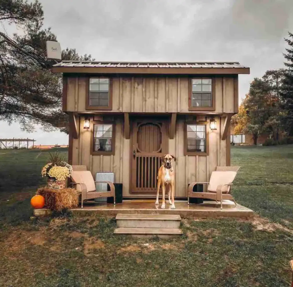 Farmview Sunset Cabin