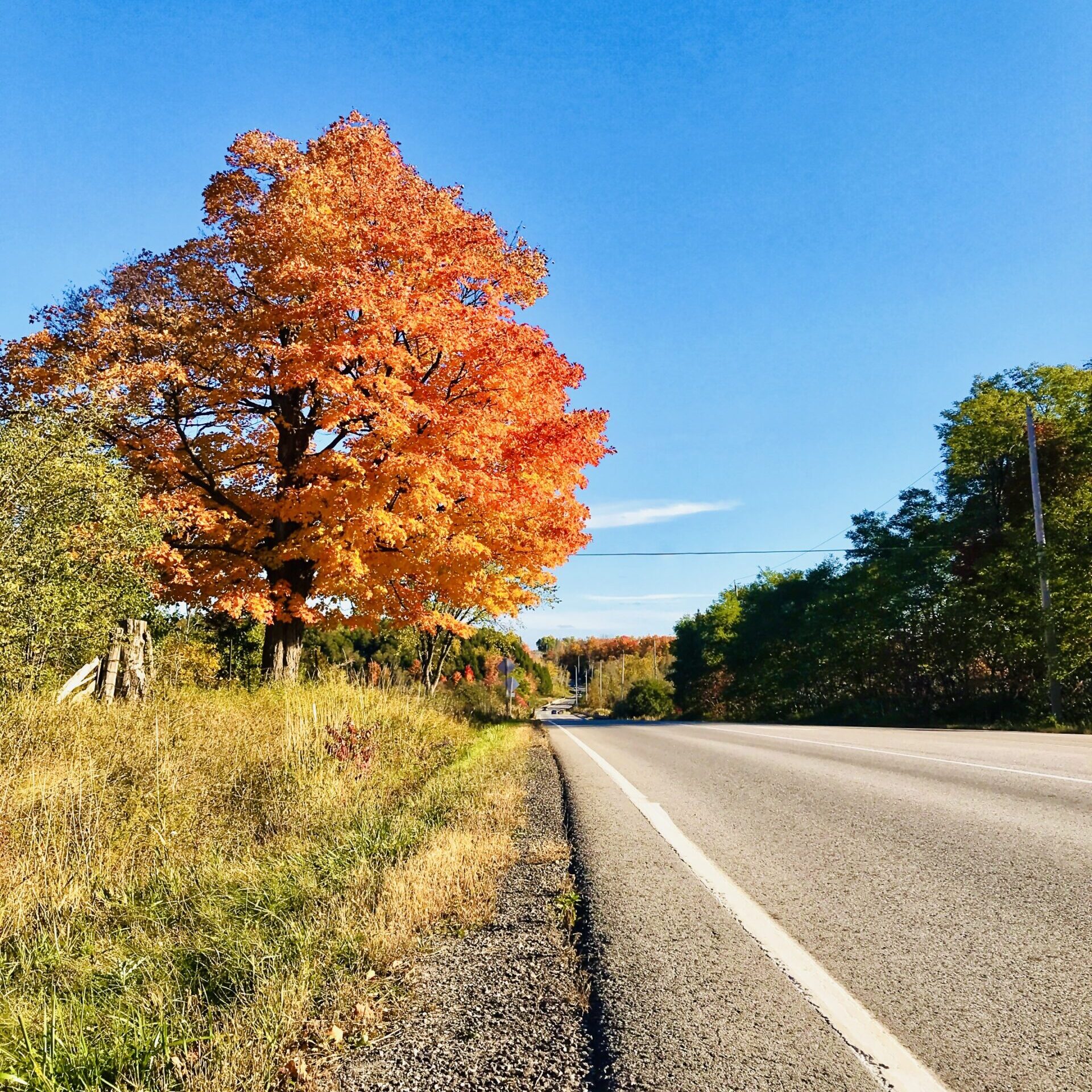 Fall Colours in Caledon
