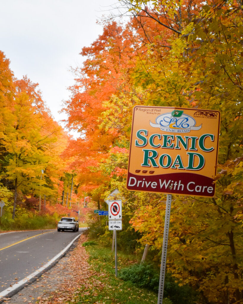 Scenic roads in Caledon with beautiful fall colours