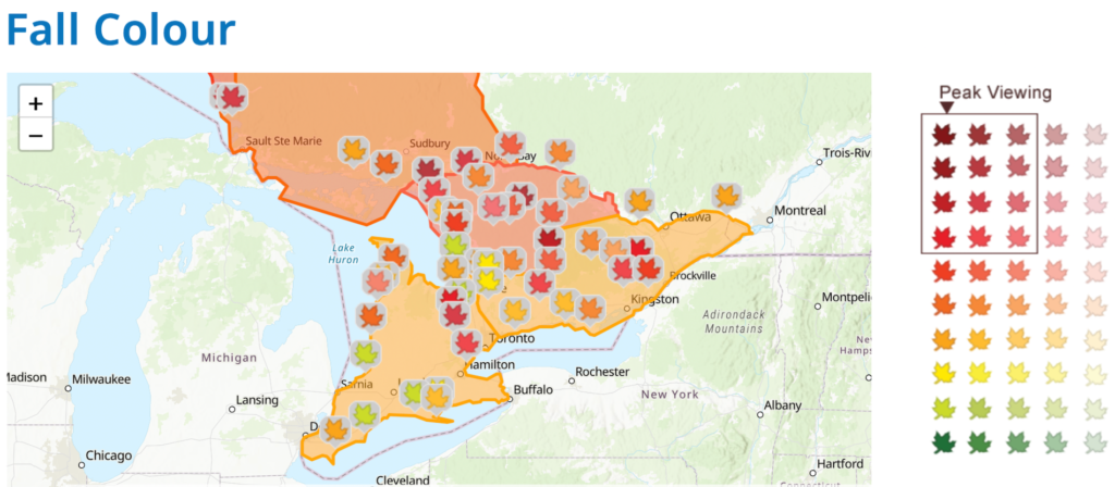 Ontario Fall Colour Report