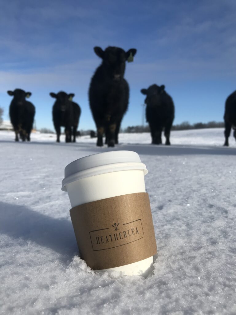 Hot chocolate in Caledon at Heatherlea's cafe.