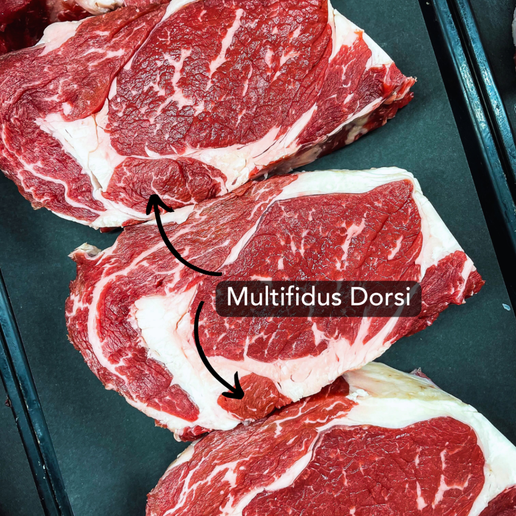 Multifidus Dorsi location on the ribeye steak